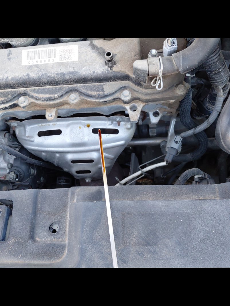 Toyota Yaris Y FLT 2020 image