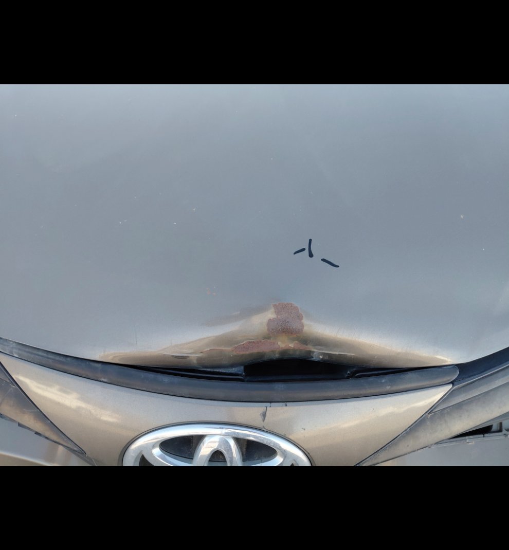 Toyota Yaris Y FLT 2020 image