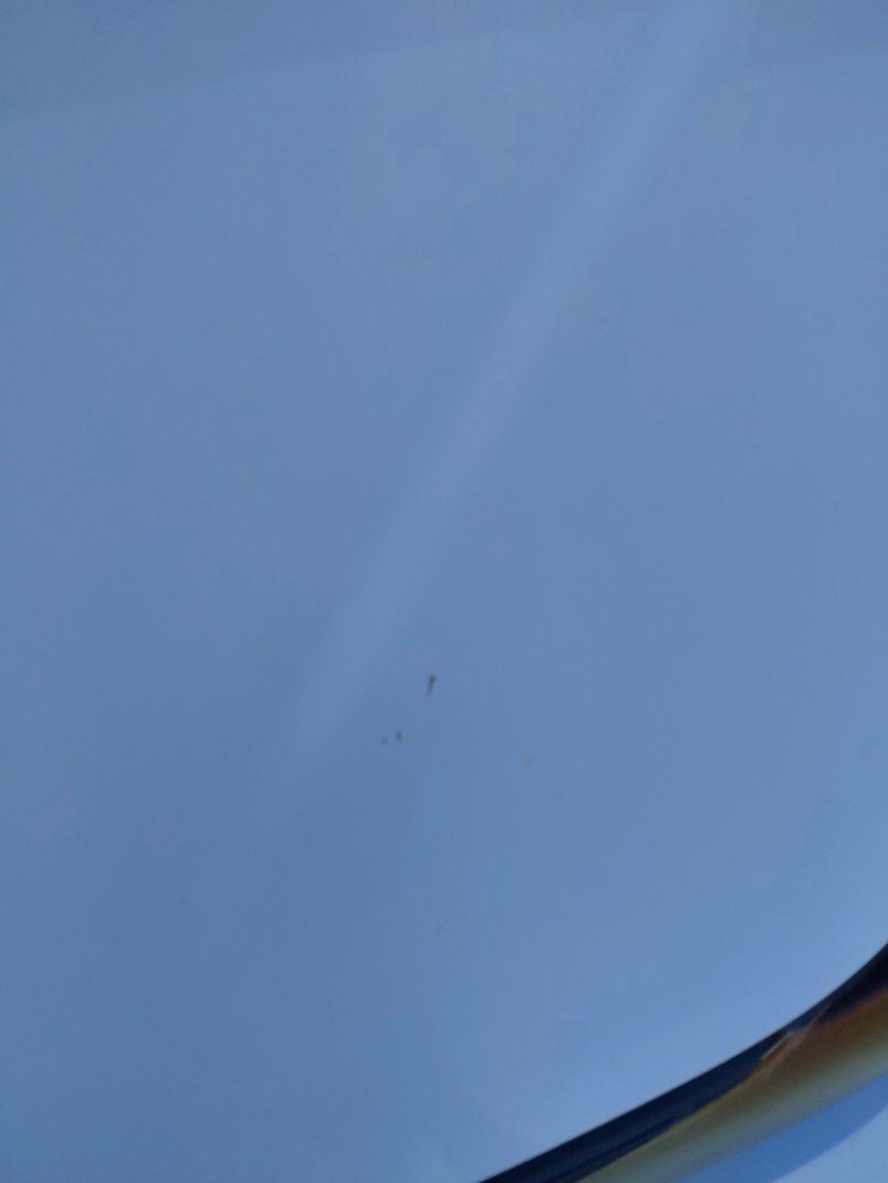 تويوتا كورولا XLI 2020 image