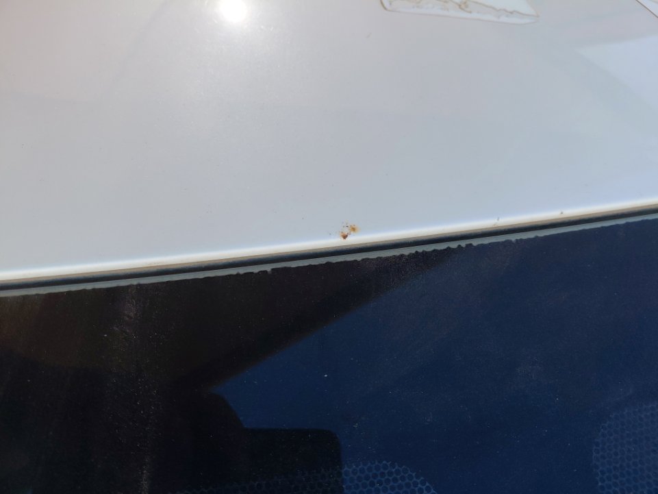 تويوتا كورولا XLI 2020 image