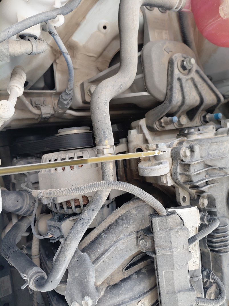 KIA Sportage LX 4WD 2023 image