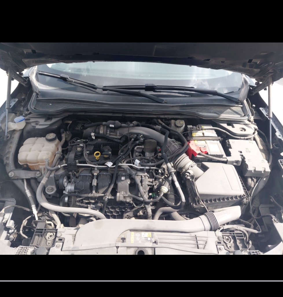 Ford Taurus  2023 image