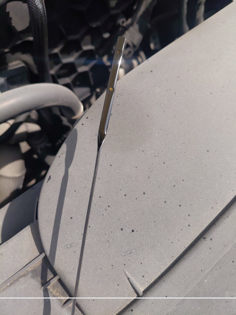 Ford Taurus  2023 image