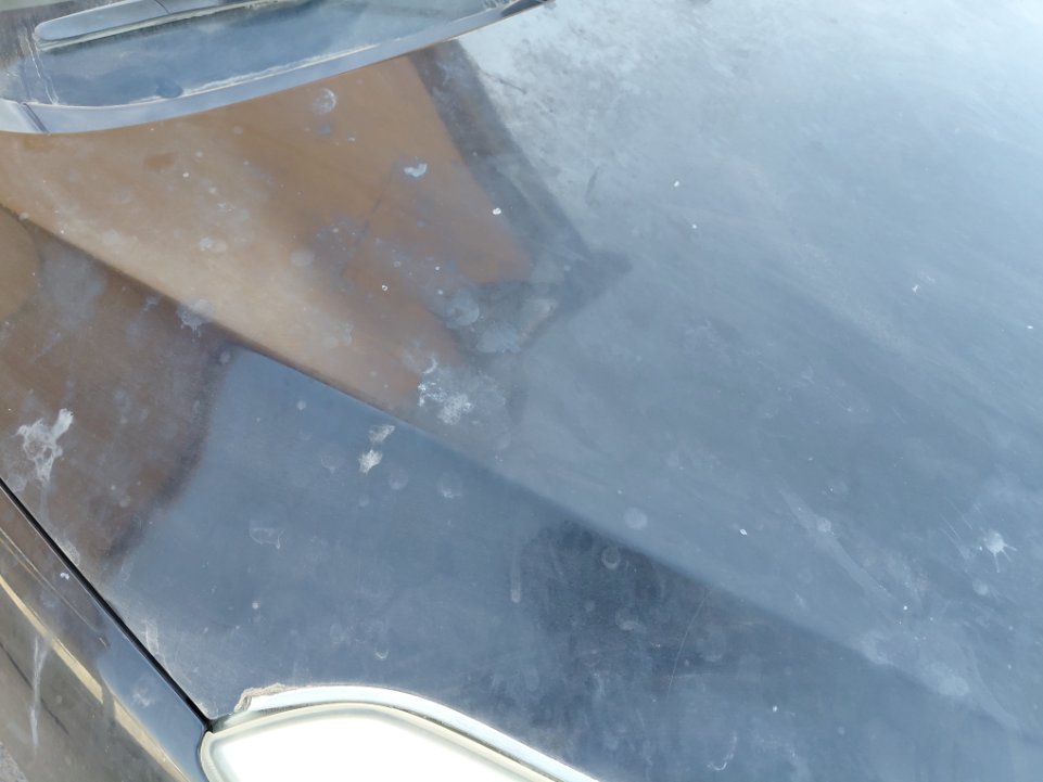 سوزوكي بالينو FLEET 2020 image