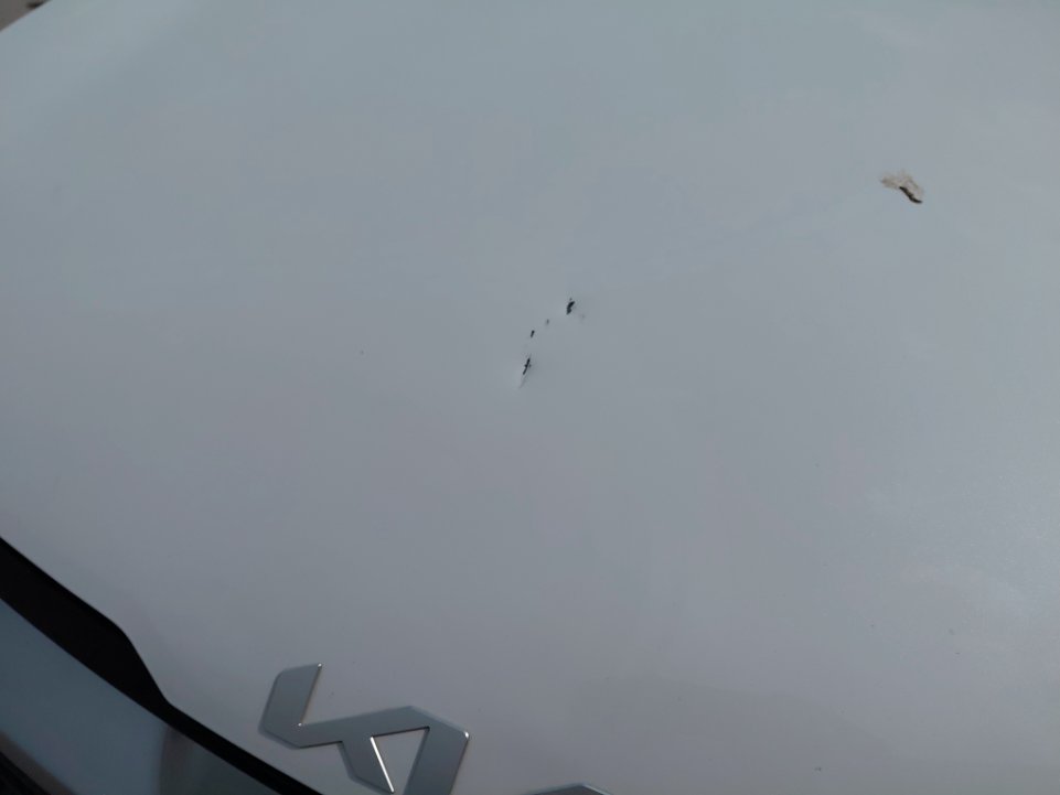 KIA Sportage LX 4WD 2023 image