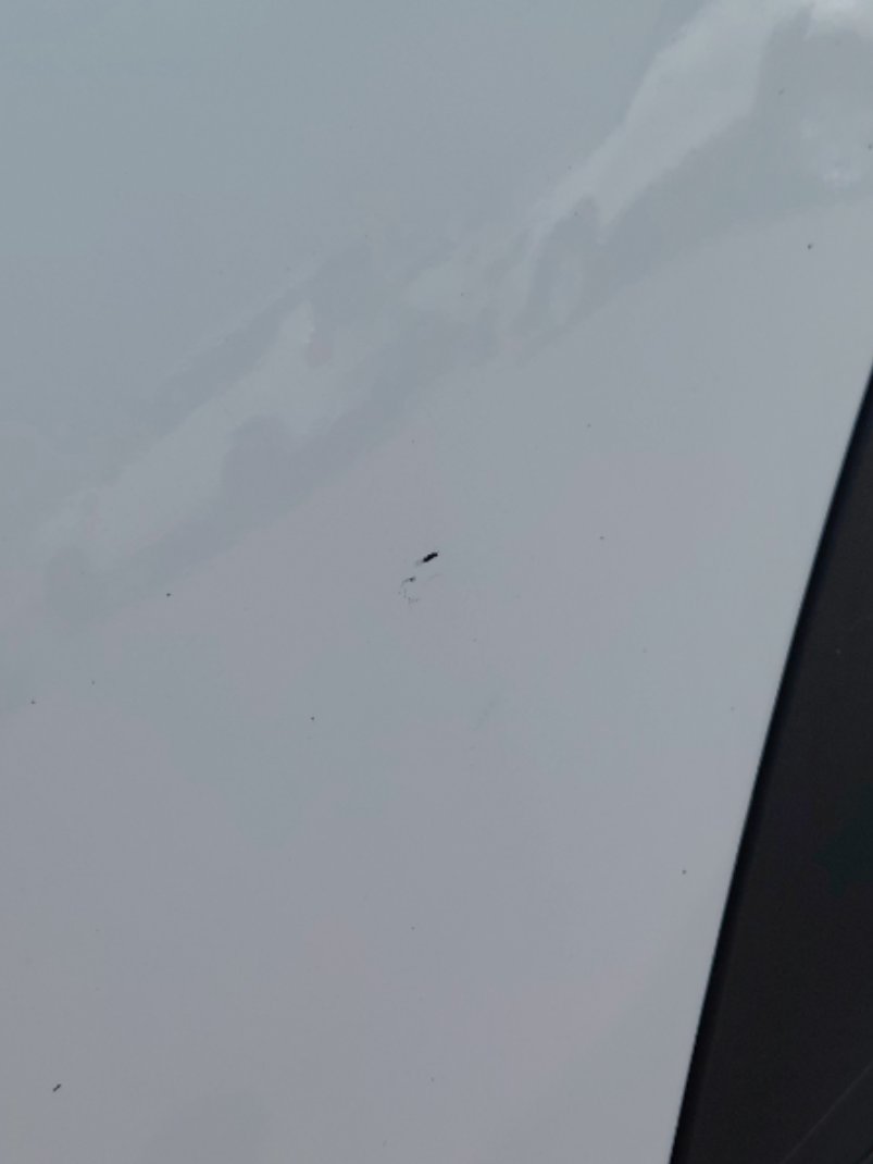 KIA Sportage LX 4WD 2023 image