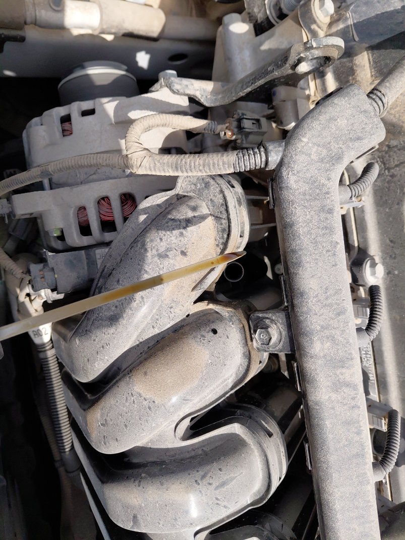 KIA Pegas LX FWD  2024 image