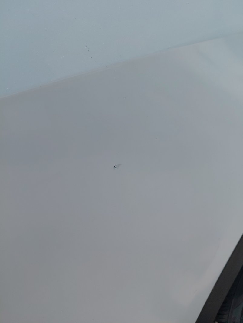 KIA Sportage LX 4WD 2023 image