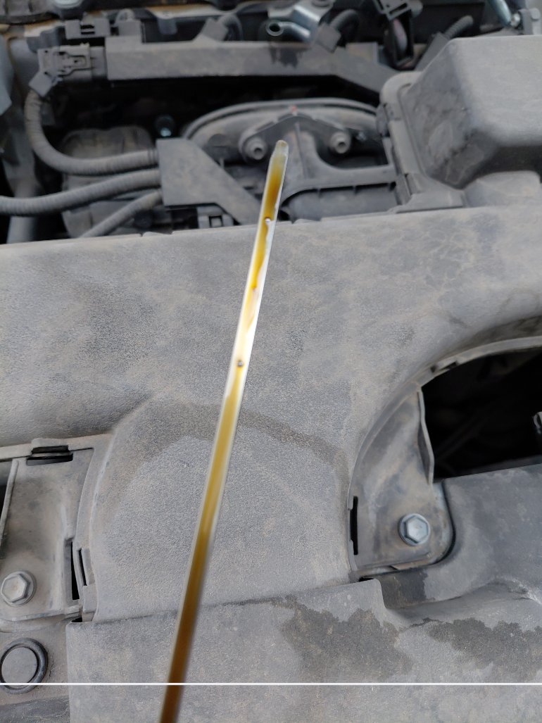 Toyota RAV4  2024 image