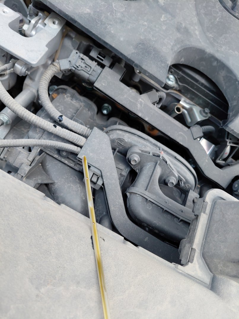 Toyota RAV4  2024 image