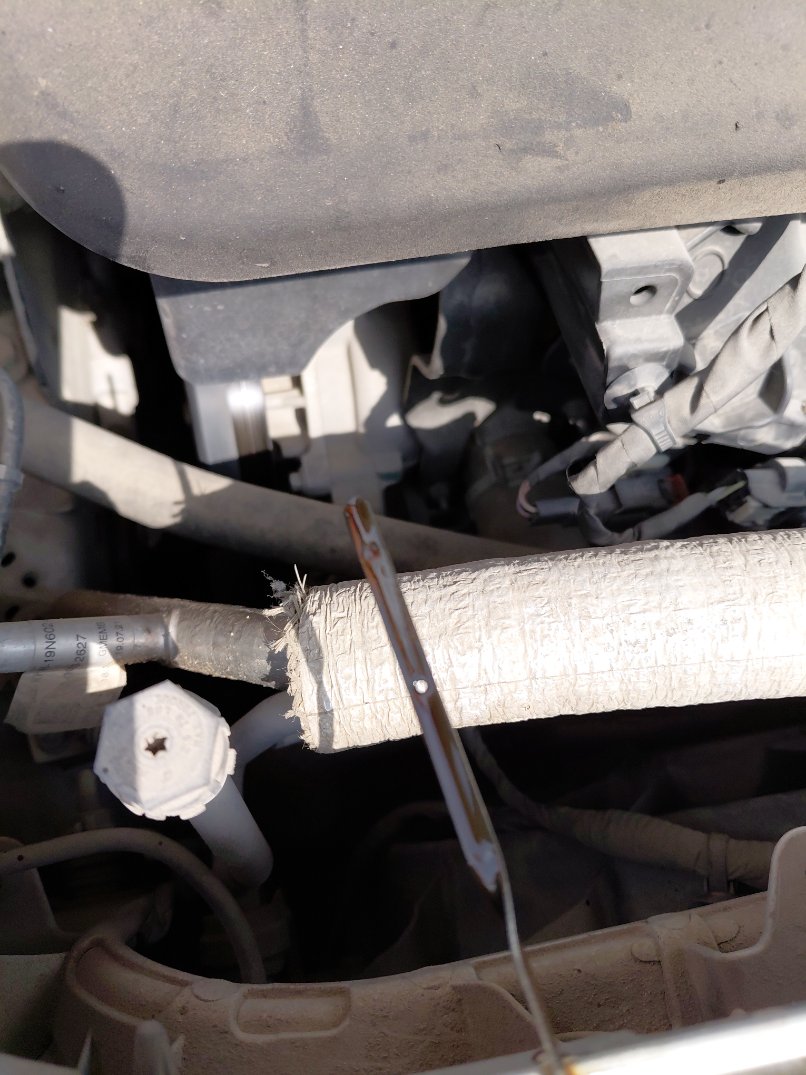 Ford Taurus  2022 image