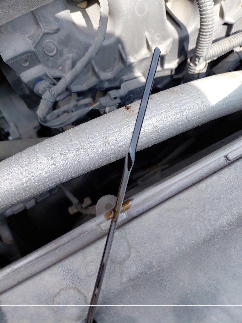 فورد توروس  2022 image