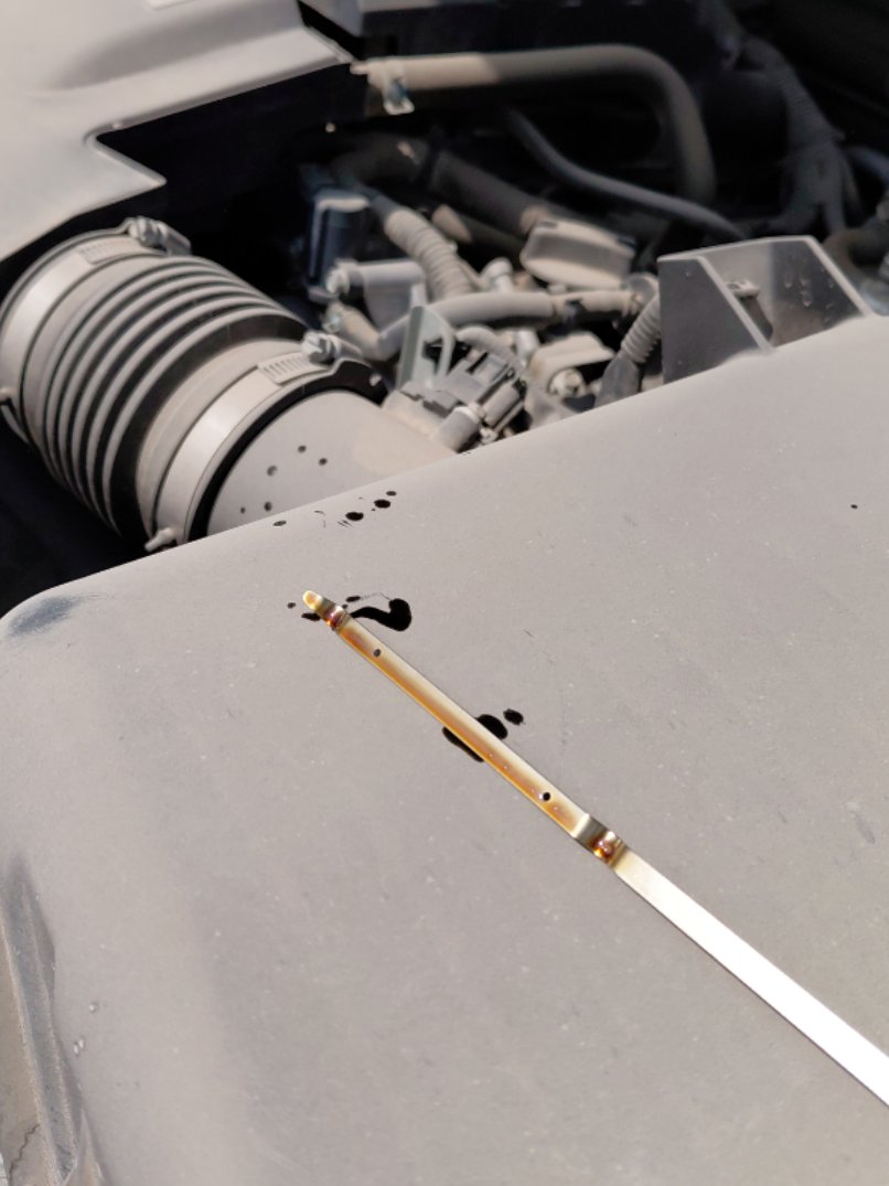 Nissan Patrol بلاتينيوم 2021 image