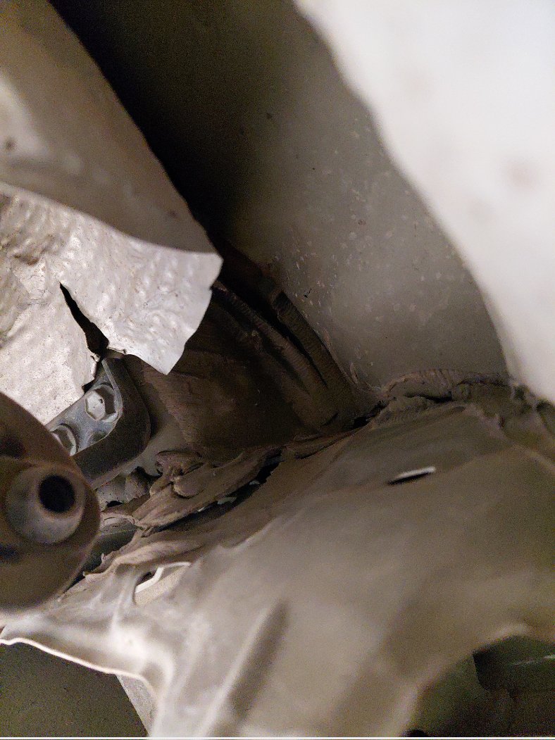 تويوتا كورولا XLI EXE -  2021 image