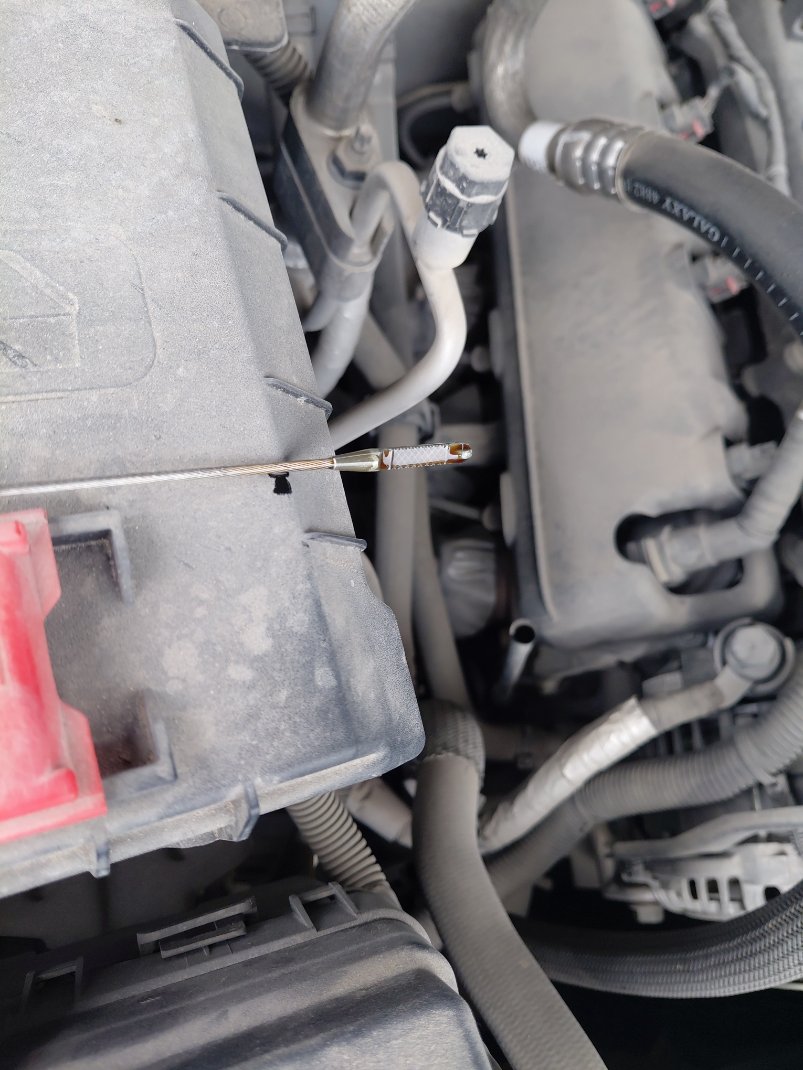 شفروليه تاهو  2022 image