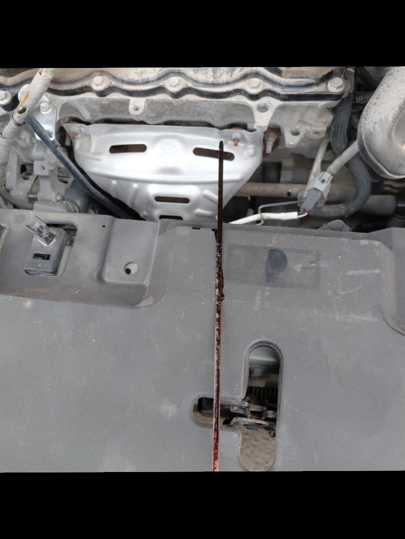 Toyota Yaris Y FLT 2021 image