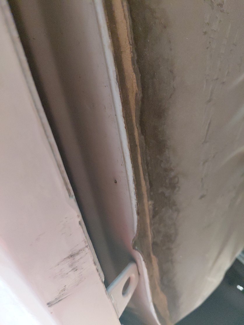 Toyota Corolla   XLI EXECUTI 2021 image