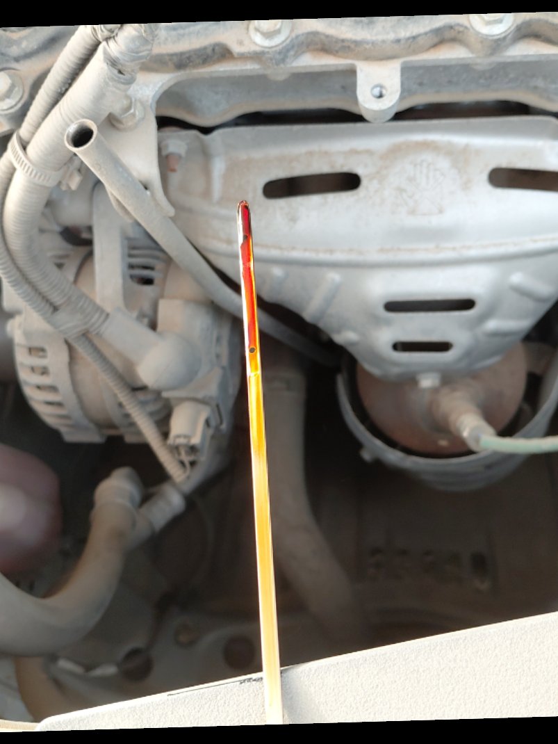 Toyota Yaris Y 2024 image