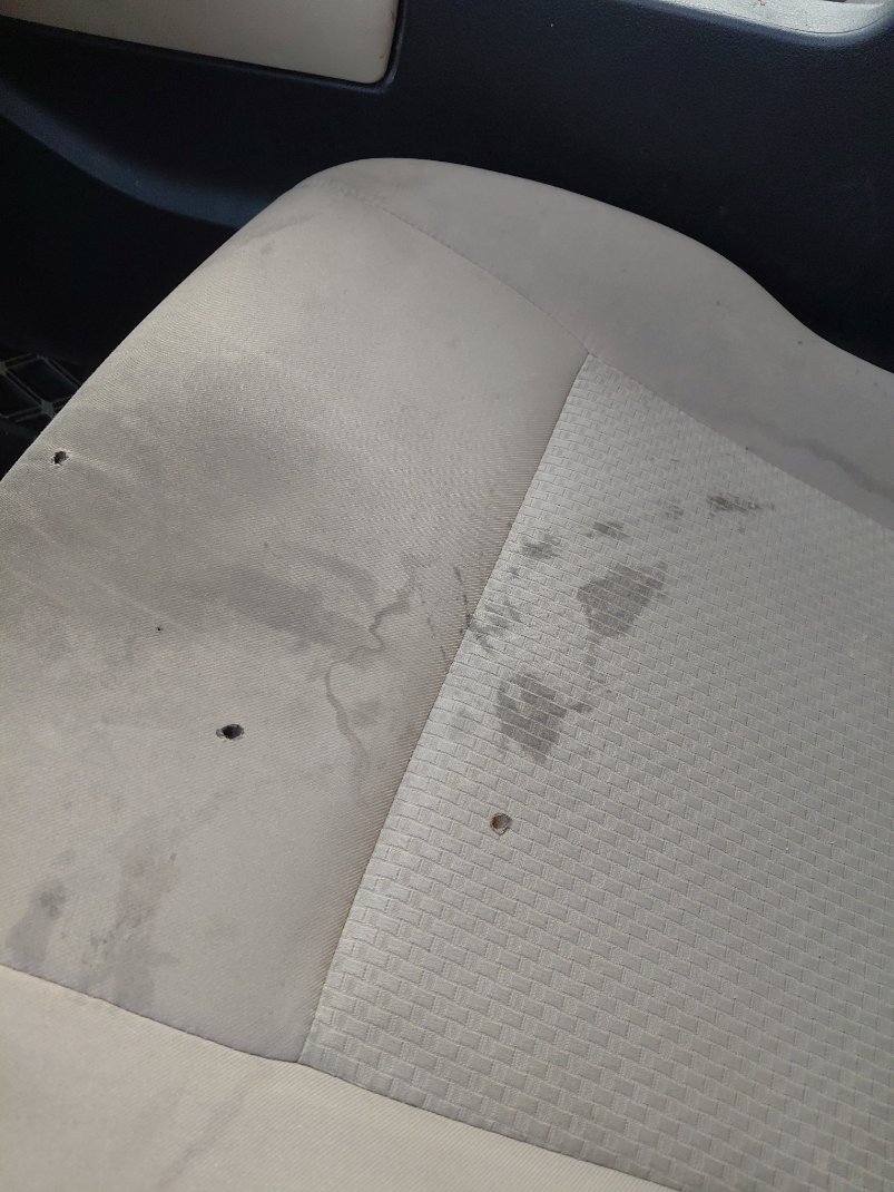 Toyota Yaris Y 2024 image