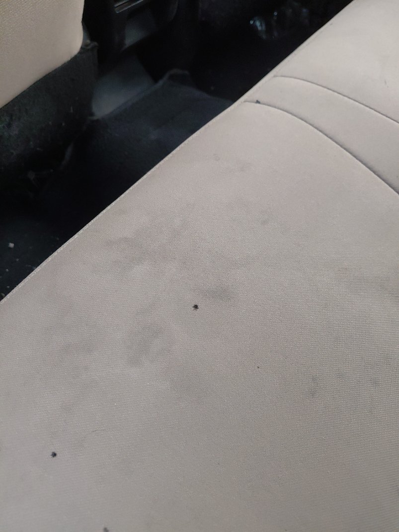 Toyota Yaris Y 2024 image