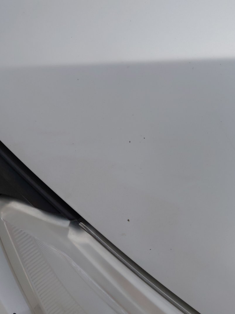 Toyota Yaris Y FLT 2020 image