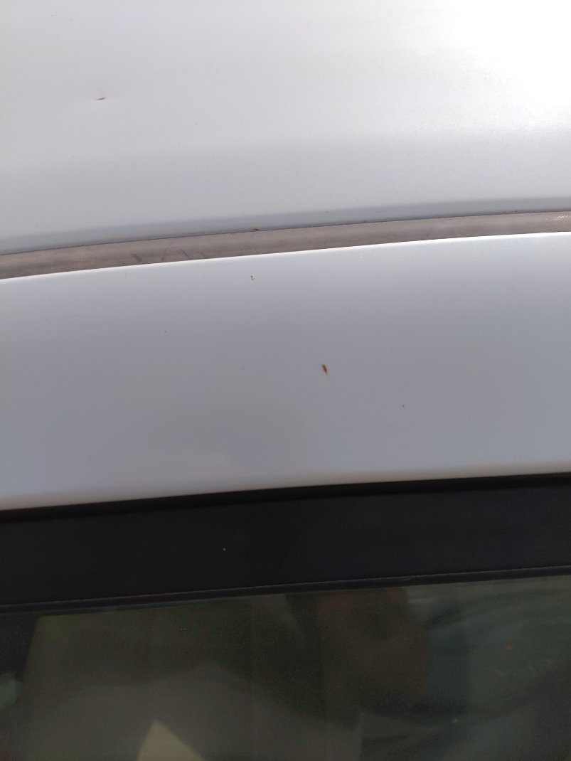 Toyota Yaris Y FLT 2020 image