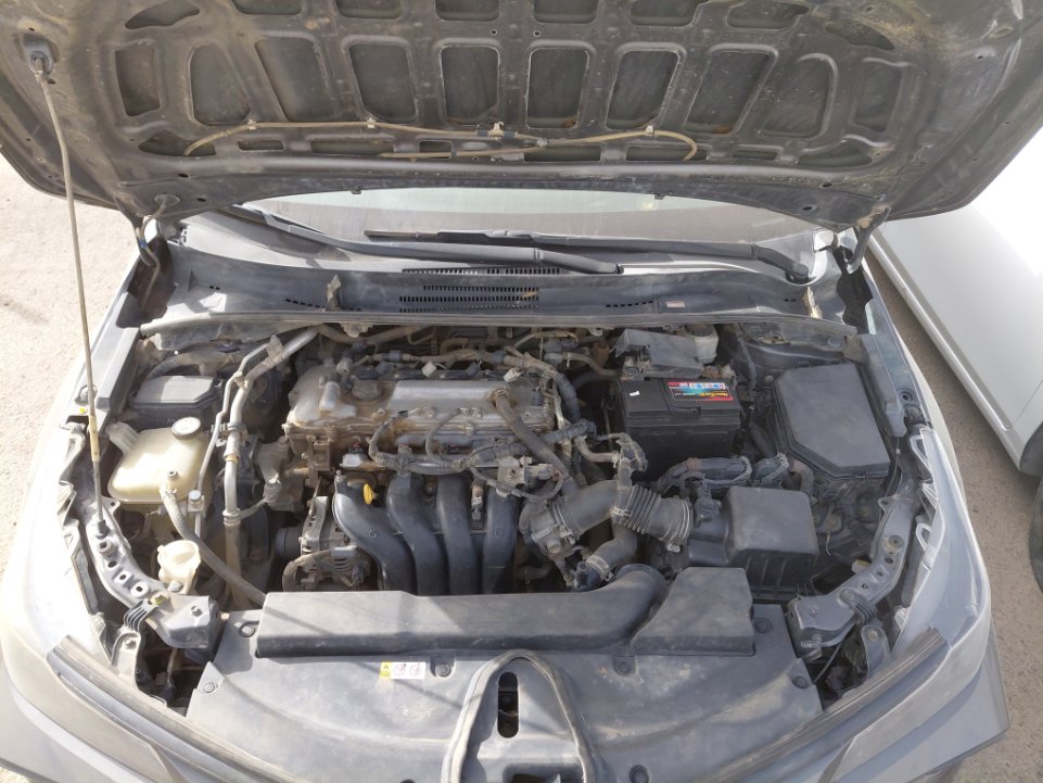 Toyota Corolla XLI EXECUTIVE  2020 image