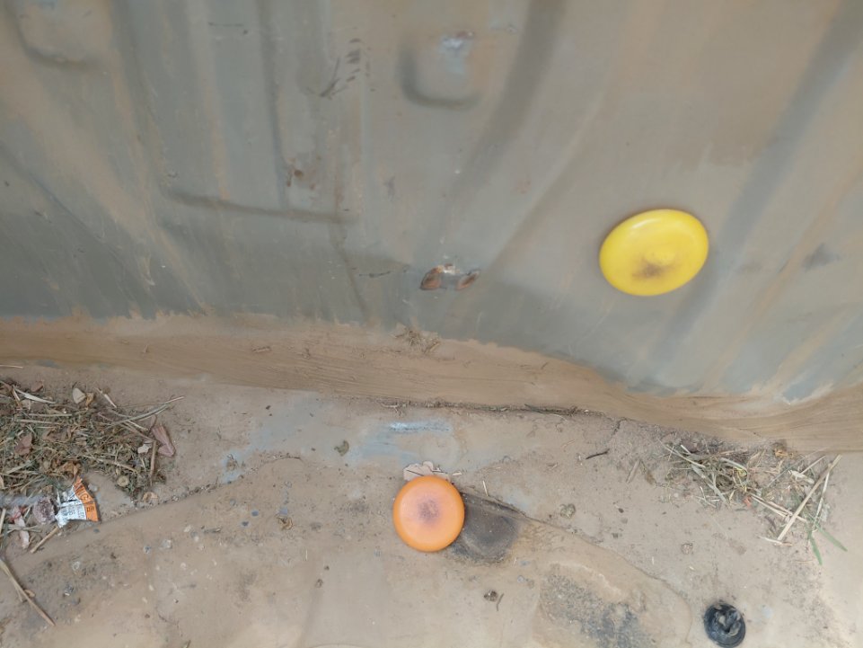 Toyota Corolla XLI EXECUTIVE  2020 image