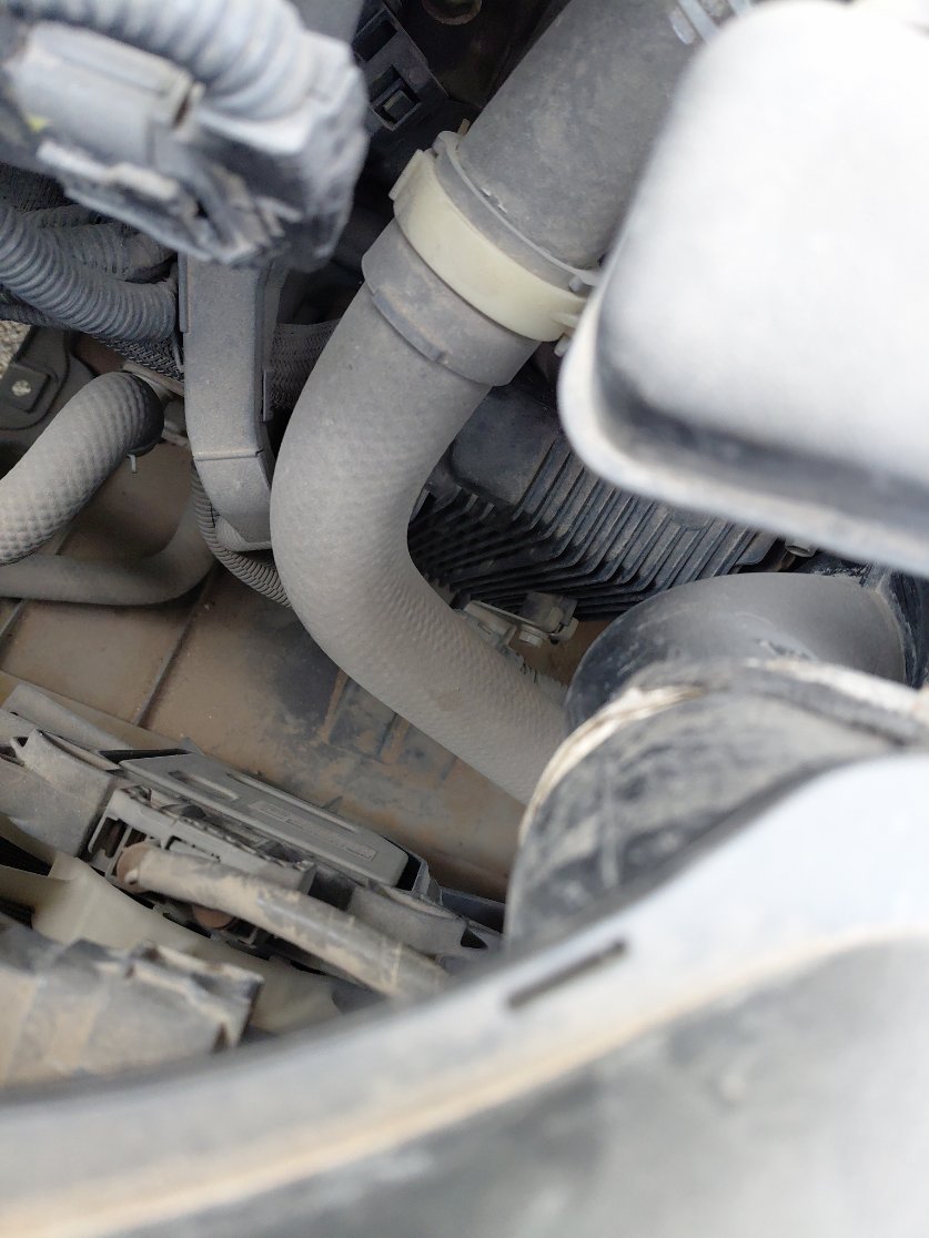 Toyota Corolla XLI  2022 image