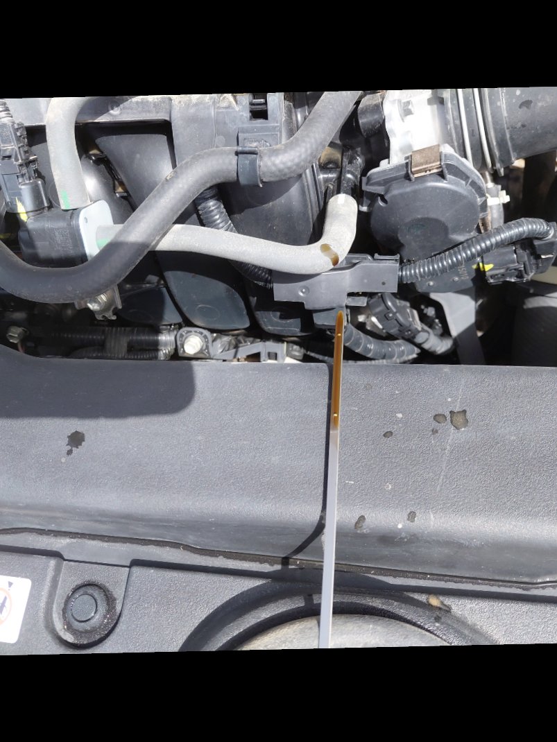 Toyota Corolla XLI  2022 image