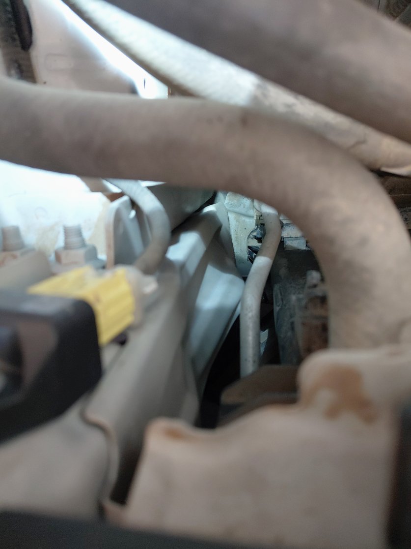 Toyota Corolla  XLI EXECUTIVE 2020 image