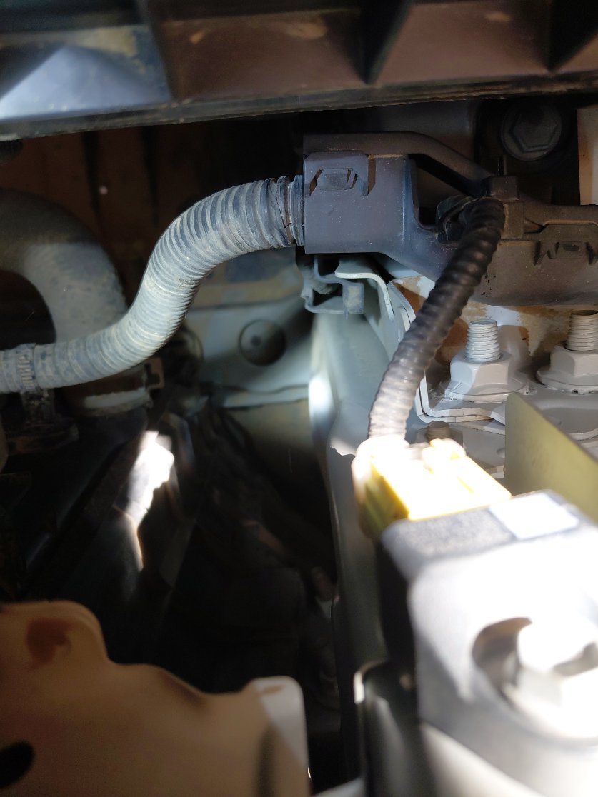 Toyota Corolla  XLI EXECUTIVE 2020 image