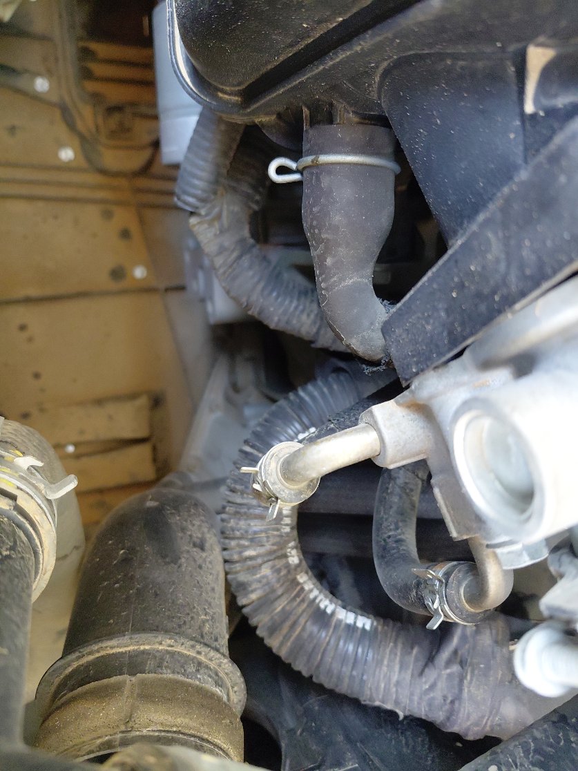 Toyota Corolla  XLI EXECUTIVE 2020 image