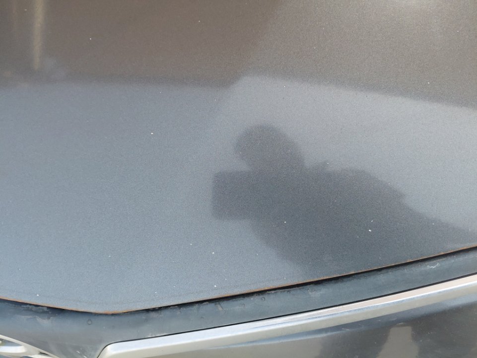 Toyota Corolla XLI  2022 image