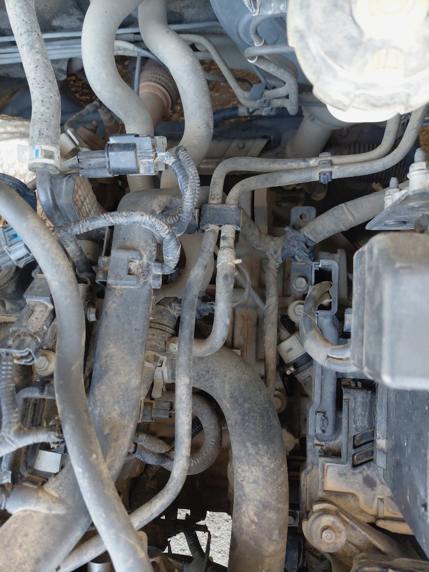 Hyundai Accent  2019 image