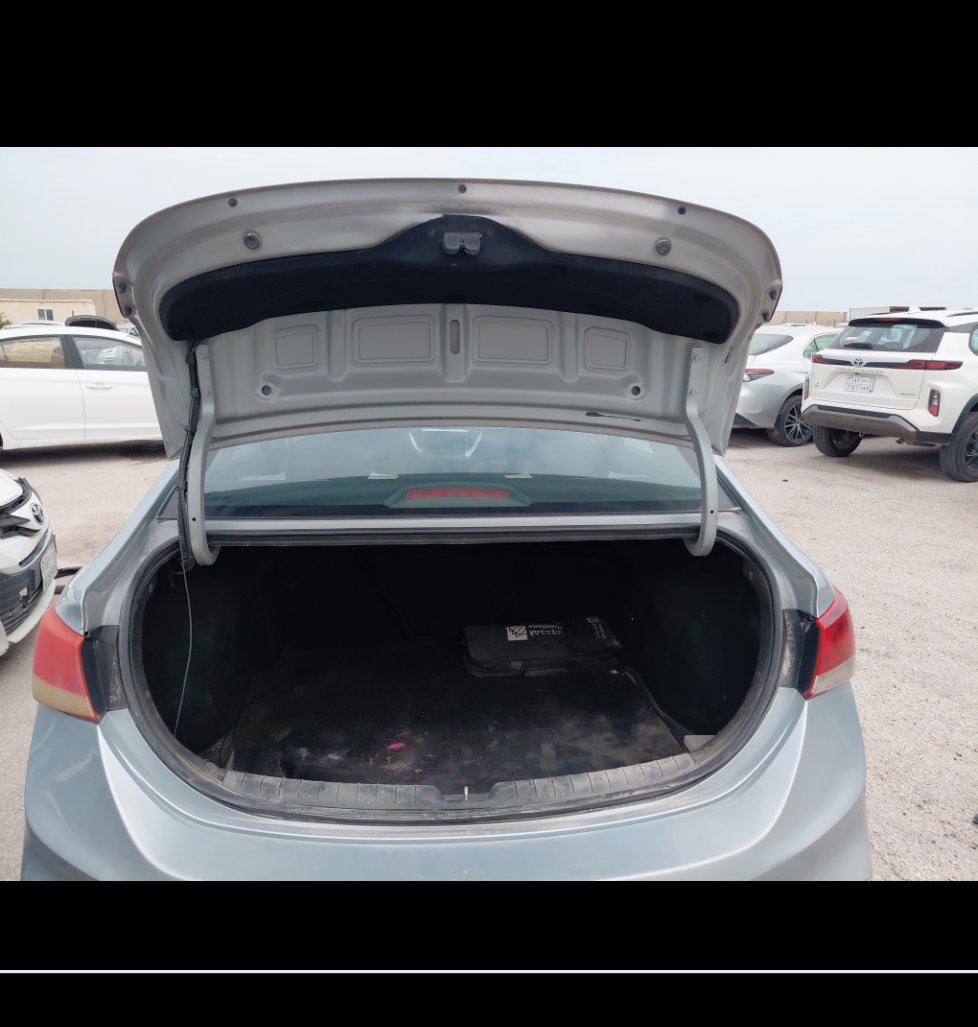 هيونداي أكسنت FLEET 2020 image