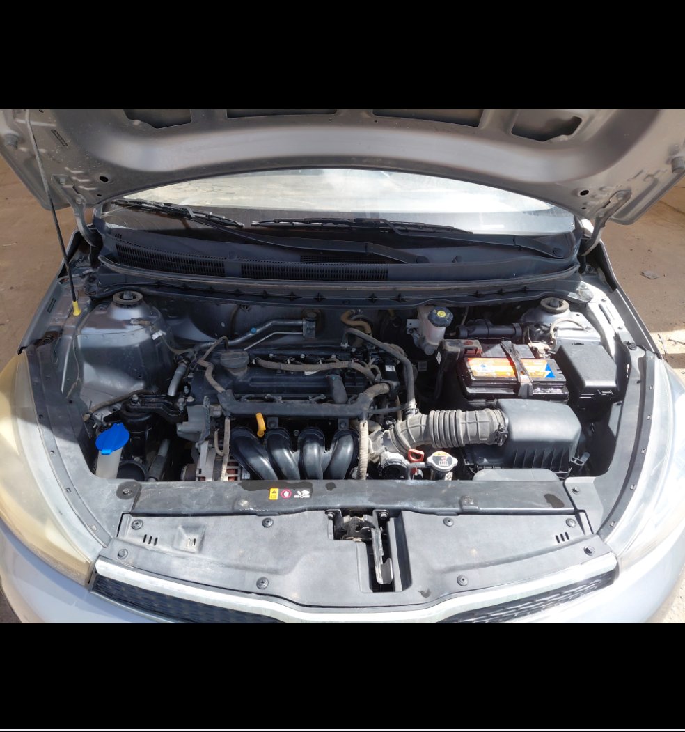 كيا بيجاس  FLEET 2020 image