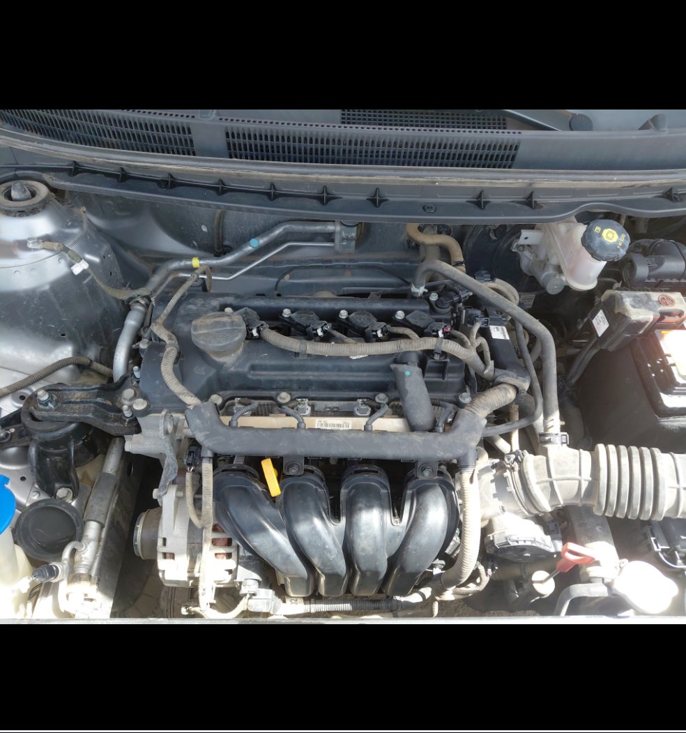 كيا بيجاس  FLEET 2020 image