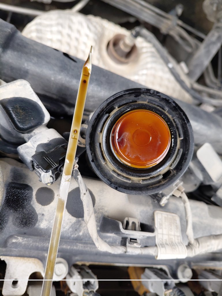 هيونداي أكسنت FLEET 2020 image