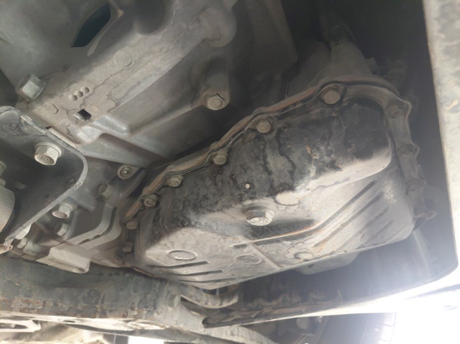 كيا بيجاس  FLEET 2020 image