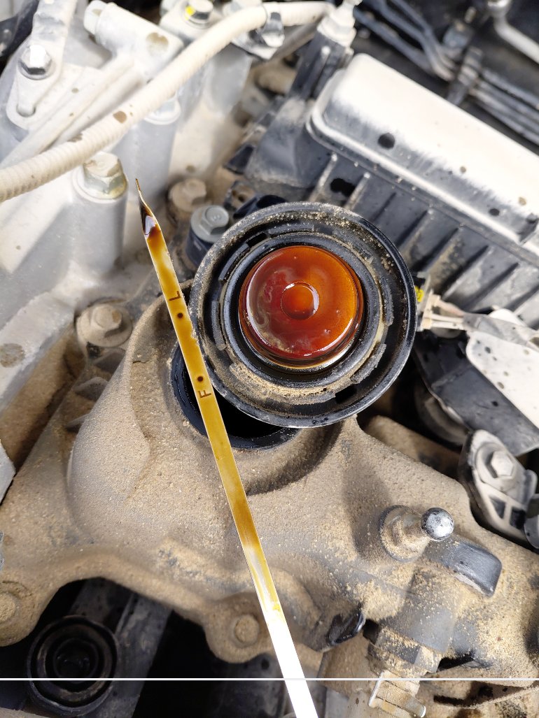 KIA Sportage  LX SPORT  2021 image