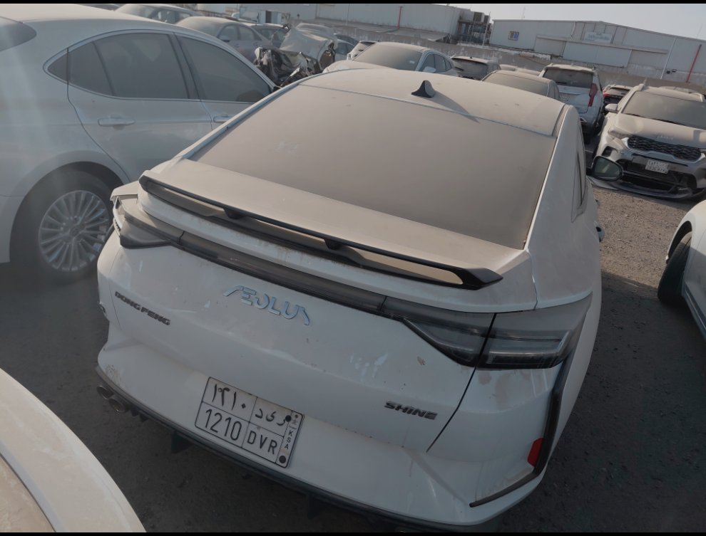 دونغ فينغ SHINE  2025 image