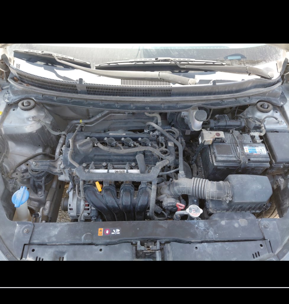 KIA Pegas FLEET  2021 image