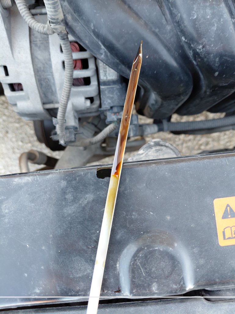 KIA Pegas FLEET  2021 image