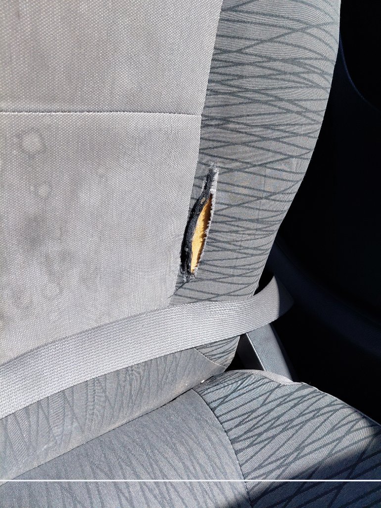 KIA Pegas FLEET  2021 image