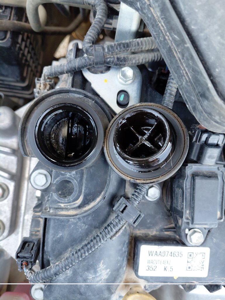 Toyota RAIZE XLE  2024 image