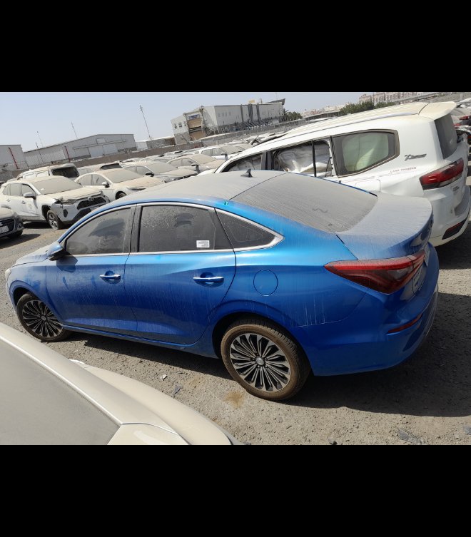 شانجان ايدو  2020 image