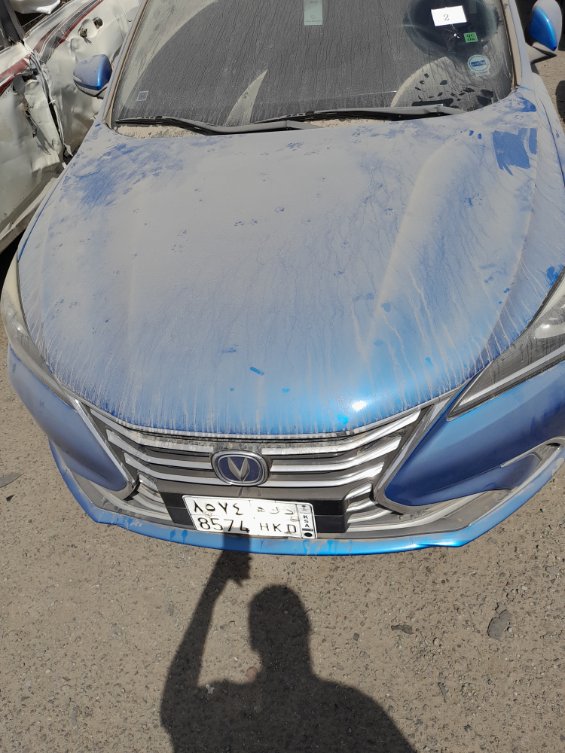 شانجان ايدو  2020 image