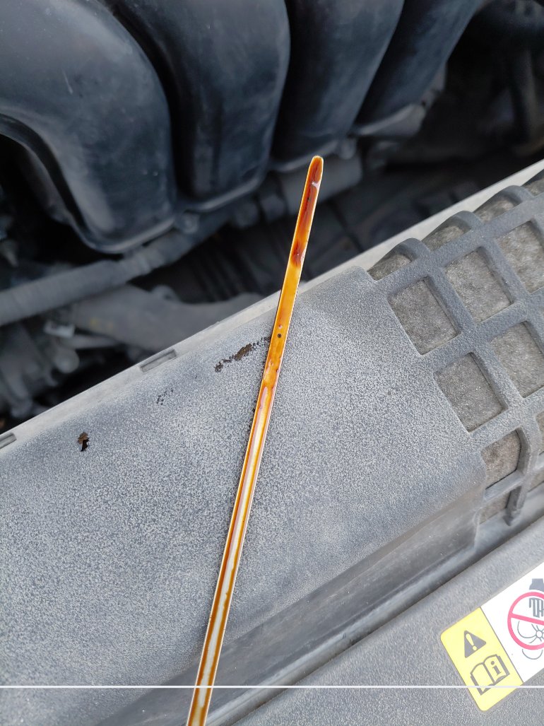 Toyota Corolla XLI EXECUTIVE 2020 image