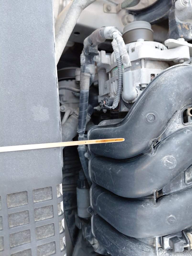 Toyota Corolla XLI EXECUTIVE M/R  2020 image